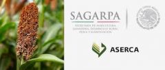 Sagarpa